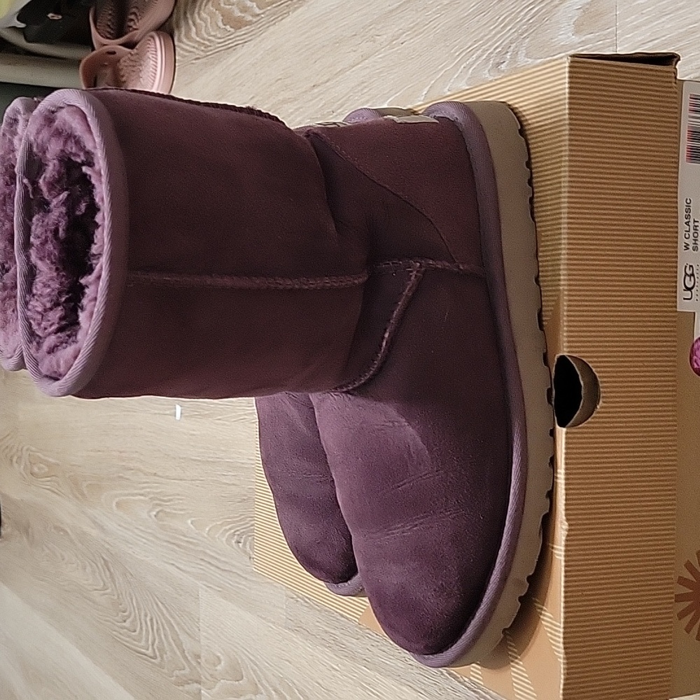 Classic UGG short - Picture 4 of 7